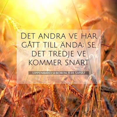 Picture 07 - Uppenbarelseboken 11:14 SV1917 - Det andra ve har gått till ända; se, det tredje - Bible Verse Picture
