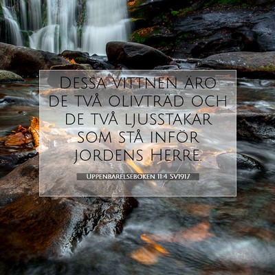 Picture 07 - Uppenbarelseboken 11:4 SV1917 - Dessa vittnen äro de två olivträd och de två - Bible Verse Picture