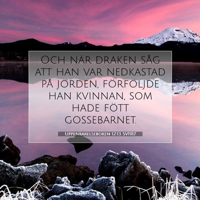 Picture 07 - Uppenbarelseboken 12:13 SV1917 - Och när draken såg att han var nedkastad på - Bible Verse Picture