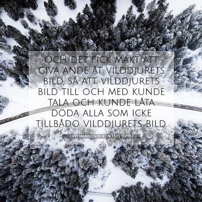 Picture 07 - Uppenbarelseboken 13:15 SV1917 - Och det fick makt att giva ande åt vilddjurets - Bible Verse Picture