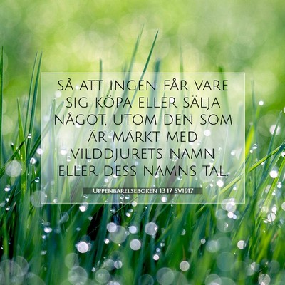 Picture 07 - Uppenbarelseboken 13:17 SV1917 - så att ingen får vare sig köpa eller sälja - Bible Verse Picture