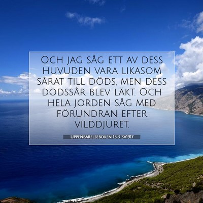 Picture 07 - Uppenbarelseboken 13:3 SV1917 - Och jag såg ett av dess huvuden vara likasom - Bible Verse Picture