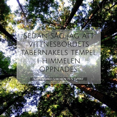 Picture 07 - Uppenbarelseboken 15:5 SV1917 - Sedan såg jag att vittnesbördets tabernakels - Bible Verse Picture