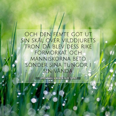 Picture 07 - Uppenbarelseboken 16:10 SV1917 - Och den femte göt ut sin skål över vilddjurets - Bible Verse Picture