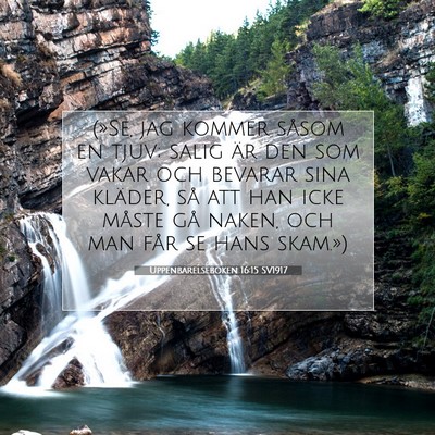 Picture 07 - Uppenbarelseboken 16:15 SV1917 - (»Se, jag kommer såsom en tjuv; salig är den - Bible Verse Picture