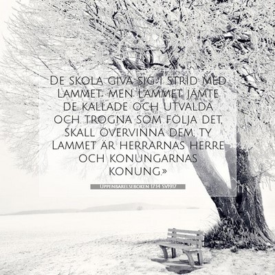Picture 07 - Uppenbarelseboken 17:14 SV1917 - De skola giva sig i strid med Lammet; men Lammet - Bible Verse Picture