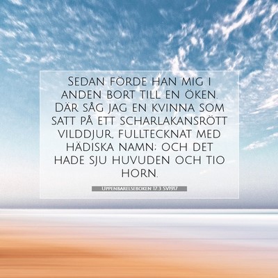 Picture 07 - Uppenbarelseboken 17:3 SV1917 - Sedan förde han mig i anden bort till en öken. - Bible Verse Picture