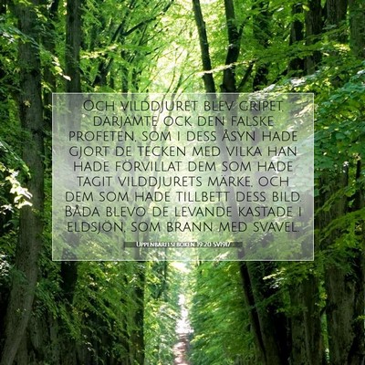 Picture 07 - Uppenbarelseboken 19:20 SV1917 - Och vilddjuret blev gripet, därjämte ock den - Bible Verse Picture