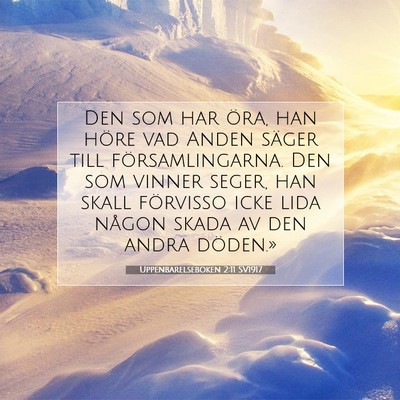 Picture 07 - Uppenbarelseboken 2:11 SV1917 - Den som har öra, han höre vad Anden säger till - Bible Verse Picture