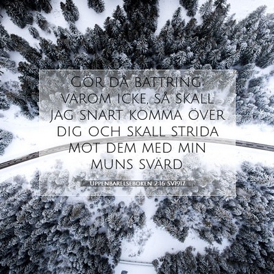 Picture 07 - Uppenbarelseboken 2:16 SV1917 - Gör då bättring; varom icke, så skall jag - Bible Verse Picture