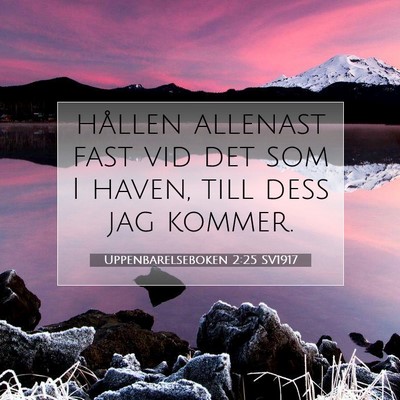 Picture 07 - Uppenbarelseboken 2:25 SV1917 - hållen allenast fast vid det som I haven, till - Bible Verse Picture