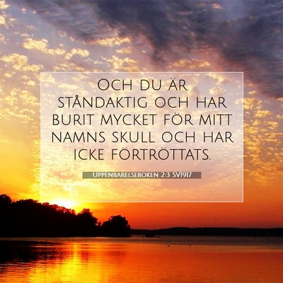 Picture 07 - Uppenbarelseboken 2:3 SV1917 - Och du är ståndaktig och har burit mycket för - Bible Verse Picture