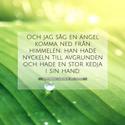 Picture 07 - Uppenbarelseboken 20:1 SV1917 - Och jag såg en ängel komma ned från himmelen; - Bible Verse Picture