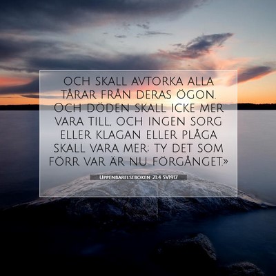 Picture 07 - Uppenbarelseboken 21:4 SV1917 - och skall avtorka alla tårar från deras ögon. - Bible Verse Picture