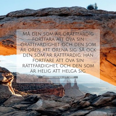 Picture 07 - Uppenbarelseboken 22:11 SV1917 - Må den som är orättfärdig fortfara att öva - Bible Verse Picture