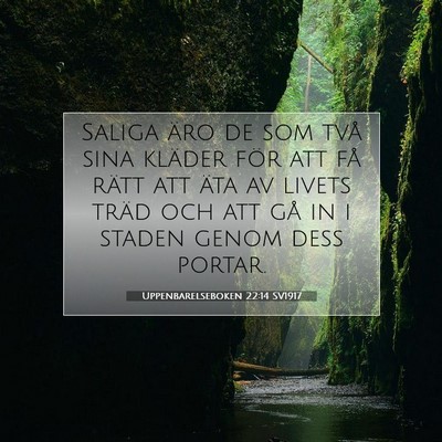 Picture 07 - Uppenbarelseboken 22:14 SV1917 - Saliga äro de som två sina kläder för att få - Bible Verse Picture