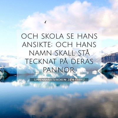 Picture 07 - Uppenbarelseboken 22:4 SV1917 - och skola se hans ansikte; och hans namn skall - Bible Verse Picture