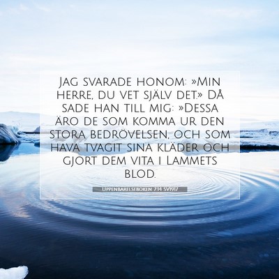 Picture 07 - Uppenbarelseboken 7:14 SV1917 - Jag svarade honom: »Min herre, du vet själv - Bible Verse Picture