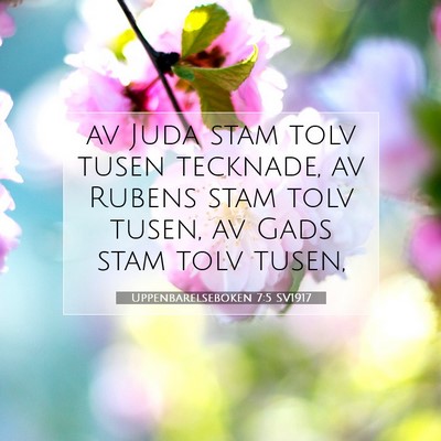 Picture 07 - Uppenbarelseboken 7:5 SV1917 - av Juda stam tolv tusen tecknade, av Rubens stam - Bible Verse Picture