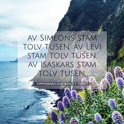 Picture 07 - Uppenbarelseboken 7:7 SV1917 - av Simeons stam tolv tusen, av Levi stam tolv - Bible Verse Picture