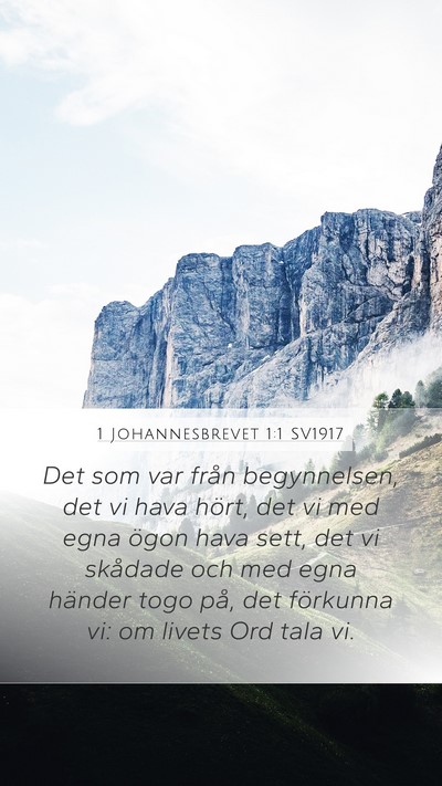 1 Johannesbrevet 1:1 SV1917 Bible Verse Image