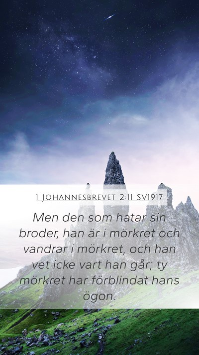 1 Johannesbrevet 2:11 SV1917 Bible Verse Image