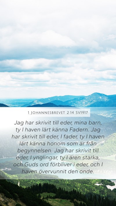 1 Johannesbrevet 2:14 SV1917 Bible Verse Image