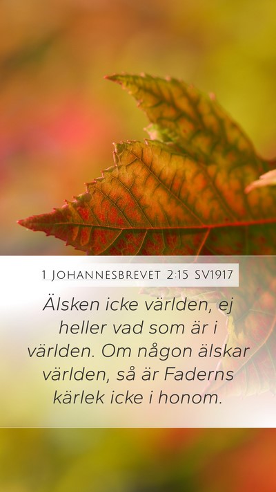 1 Johannesbrevet 2:15 SV1917 Bible Verse Image