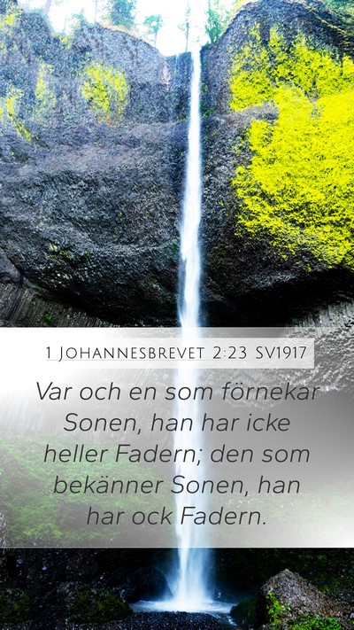 1 Johannesbrevet 2:23 SV1917 Bible Verse Image