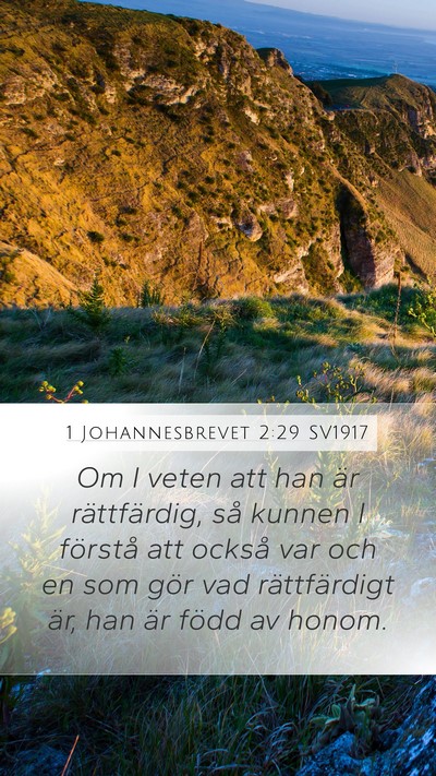 1 Johannesbrevet 2:29 SV1917 Bible Verse Image