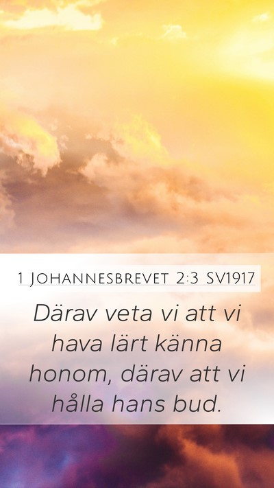 1 Johannesbrevet 2:3 SV1917 Bible Verse Image