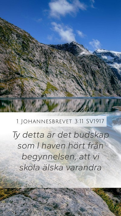 1 Johannesbrevet 3:11 SV1917 Bible Verse Image