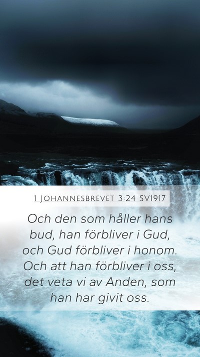 1 Johannesbrevet 3:24 SV1917 Bible Verse Image
