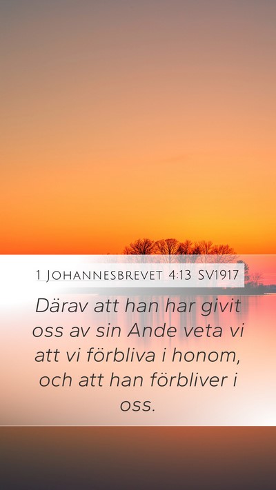 1 Johannesbrevet 4:13 SV1917 Bible Verse Image