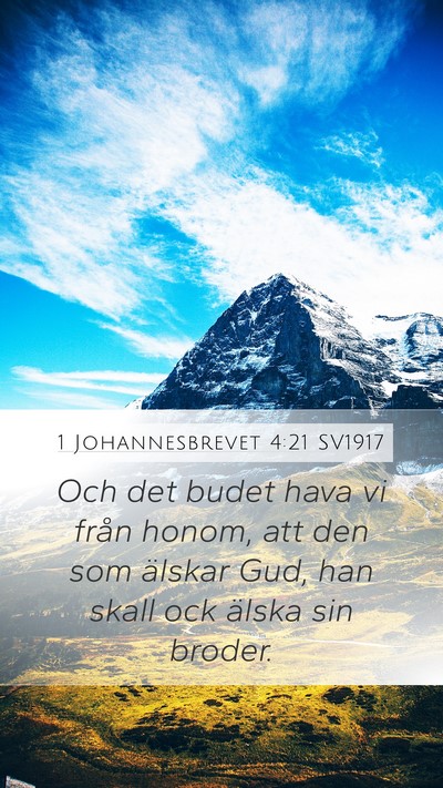 1 Johannesbrevet 4:21 SV1917 Bible Verse Image
