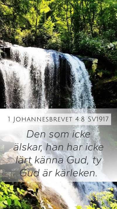 1 Johannesbrevet 4:8 SV1917 Bible Verse Image
