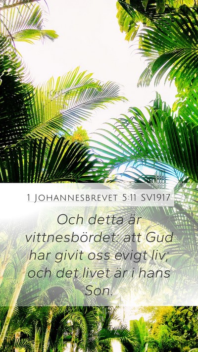 1 Johannesbrevet 5:11 SV1917 Bible Verse Image