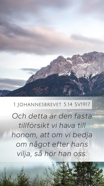 1 Johannesbrevet 5:14 SV1917 Bible Verse Image