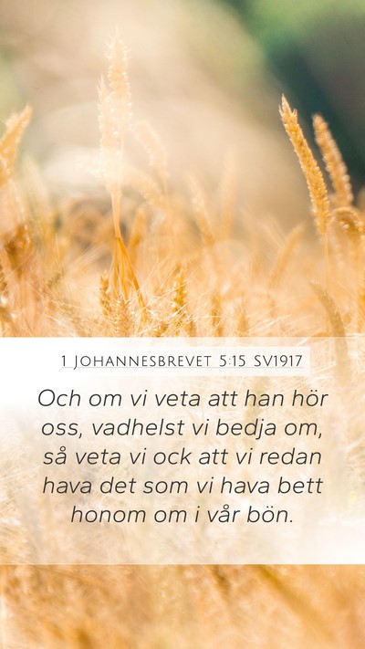 1 Johannesbrevet 5:15 SV1917 Bible Verse Image