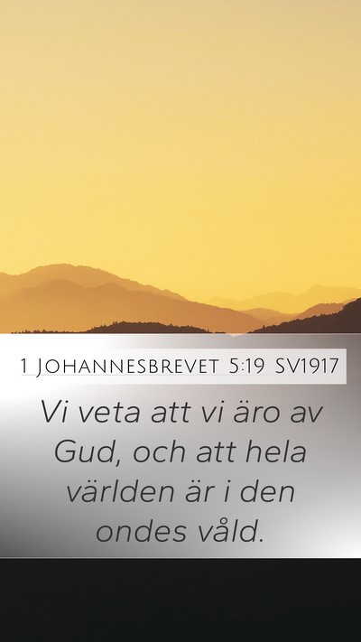 1 Johannesbrevet 5:19 SV1917 Bible Verse Image