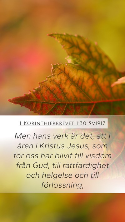 1 Korinthierbrevet 1:30 SV1917 Bible Verse Image