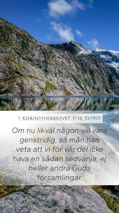 1 Korinthierbrevet 11:16 SV1917 Bible Verse Image