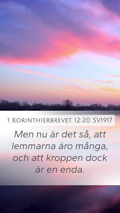 1 Korinthierbrevet 12:20 SV1917 Bible Verse Image