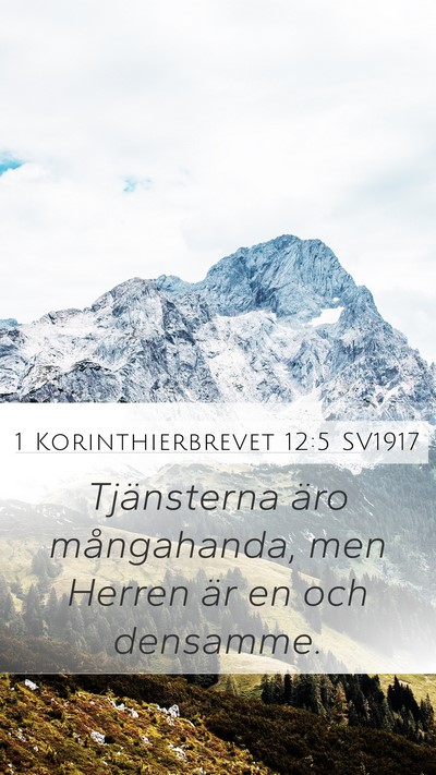 1 Korinthierbrevet 12:5 SV1917 Bible Verse Image