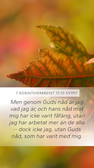 1 Korinthierbrevet 15:10 SV1917 Bible Verse Image