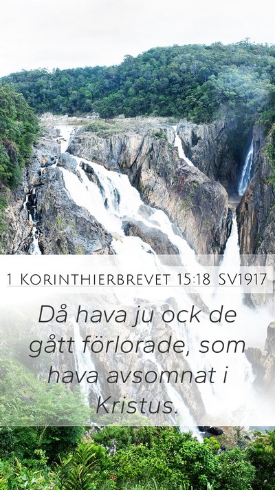 1 Korinthierbrevet 15:18 SV1917 Bible Verse Image