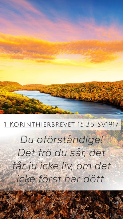 1 Korinthierbrevet 15:36 SV1917 Bible Verse Image