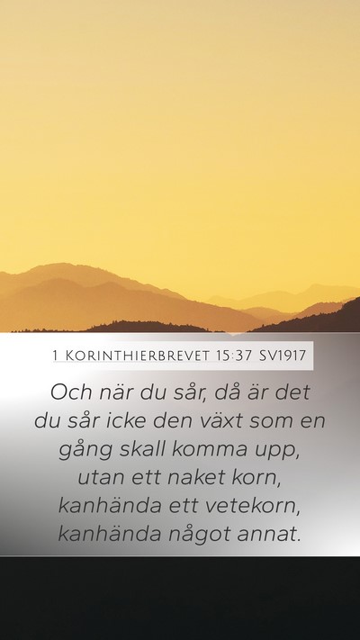 1 Korinthierbrevet 15:37 SV1917 Bible Verse Image