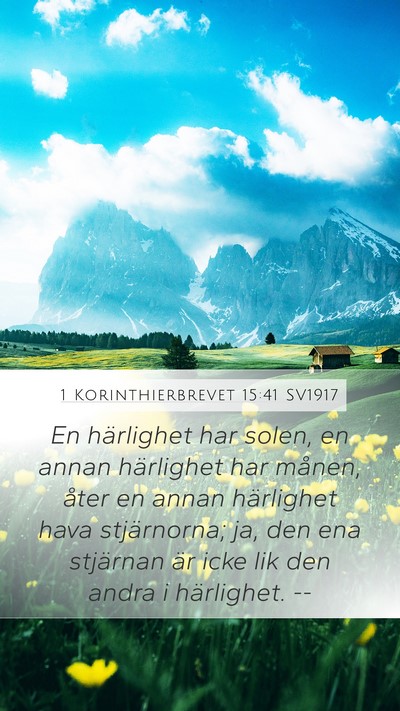 1 Korinthierbrevet 15:41 SV1917 Bible Verse Image