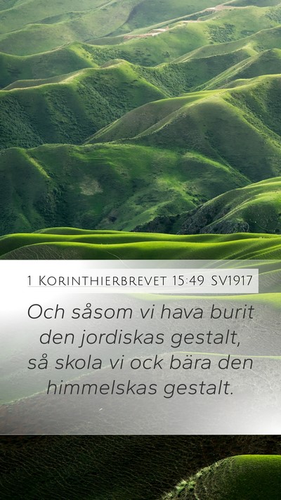 1 Korinthierbrevet 15:49 SV1917 Bible Verse Image